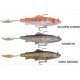 Savage Gear 4D Rattle Trout Shad 20.5cm