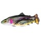 Savage Gear 4D Rattle Trout Shad 20.5cm