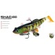 Molix - Shad 140 60gr