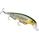 Strike King KVD Jerkbait