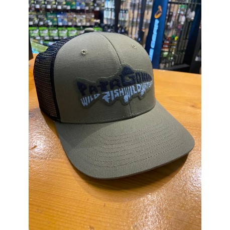 Patagonia a Stand Trucker Hat WILG